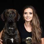 Ersteller:in Mogli_das_Dschungeltier Profilbild