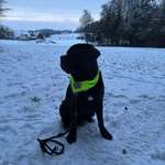 Ersteller:in Fenja Profilbild