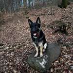 Ersteller:in Cynthia Profilbild