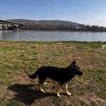 Ersteller:in Cynthia Profilbild