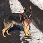 Ersteller:in Cynthia Profilbild