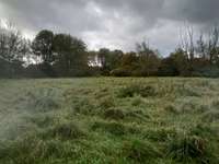 Hundeauslaufgebiet-Uhlenbruch-Bild