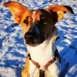 Ersteller:in Vanessa Profilbild