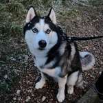 Ersteller:in Rudolf Profilbild