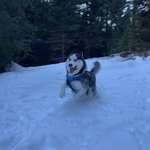 Ersteller:in Rudolf Profilbild