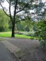 Hundeauslaufgebiet-Wald am Kaiserberg-Bild