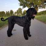 Ersteller:in Manu Profilbild