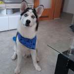 Ersteller:in Yvonne Profilbild