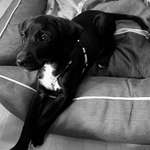 Ersteller:in Larissa Profilbild