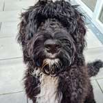 Ersteller:in Nina Profilbild