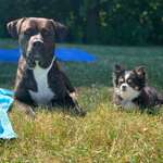 Ersteller:in Luke Profilbild