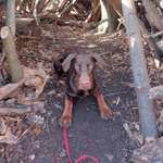 Ersteller:in Priscilla Profilbild