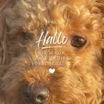 Ersteller:in Ruby Profilbild