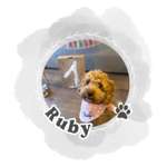 Ersteller:in Ruby Profilbild