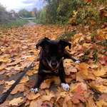 Ersteller:in Vanessa Profilbild