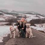 Ersteller:in Vivian Profilbild