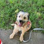 Ersteller:in Christian Profilbild