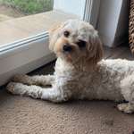 Ersteller:in Kristina Profilbild