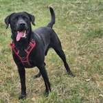 Ersteller:in Oliwia Profilbild