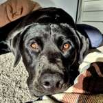 Ersteller:in Oliwia Profilbild