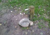 Hundeauslaufgebiet-Auslaufgebiet im Ort-Bild