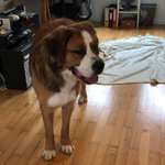 Ersteller:in Tobi Profilbild