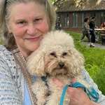 Ersteller:in Karin Profilbild
