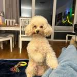 Ersteller:in Karin Profilbild