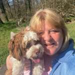 Ersteller:in Steffi Profilbild