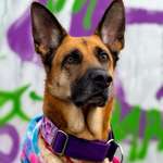 Ersteller:in Julia Profilbild