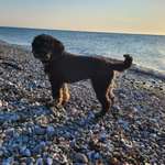 Ersteller:in Gaby Profilbild