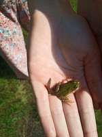 Hundeauslaufgebiet-Gut Bustedt-Bild