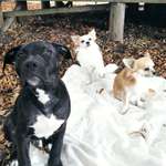 Ersteller:in Jessica Profilbild