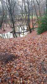 Hundeauslaufgebiet-Becke-Bild