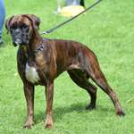 Ersteller:in Mona Profilbild