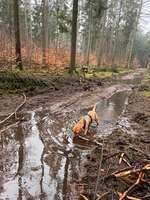 35. Handy Foto Challenge - Das nasse Element-Beitrag-Bild