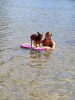 Hundeauslaufgebiet-Mainstrand-Bild