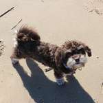 Ersteller:in Lisa Profilbild