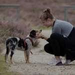 Ersteller:in Denise Profilbild