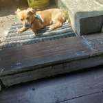 Ersteller:in Ayse Profilbild