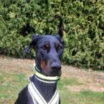 Ersteller:in Nicole Profilbild