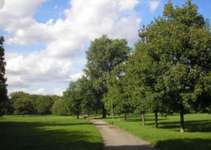 Hundeauslaufgebiet-Nordpark-Bild