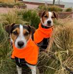 Ersteller:in Nadine Profilbild