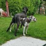 Ersteller:in Mona Profilbild