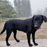 Ersteller:in Jenny Profilbild