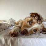 Ersteller:in Angelika Profilbild