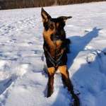 Ersteller:in Doreen Profilbild