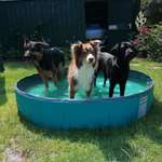 Ersteller:in Doreen Profilbild