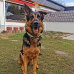 Ersteller:in Doreen Profilbild