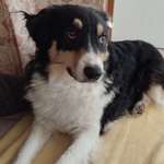 Ersteller:in Charly Profilbild